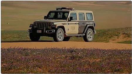 ajel2F2025 11 192F2ymdvpx02Fajel2025 11 170wehfi4qD8A7D984D8A3D985D986 D8A7D984D8