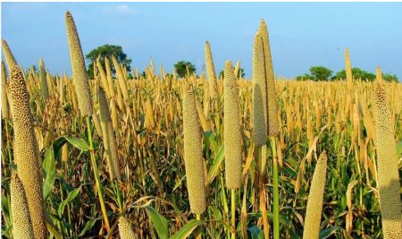 ajel2F2025 11 192Fk5o4lgk12FCapture