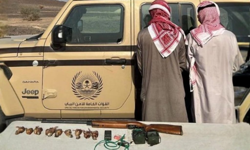 ajel2F2025 11 202Fdne7mnuj2FScreenshot 2025 11 20 213358