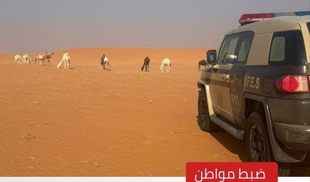 ajel2F2025 11 212F8bvvfdo42FIMG20251121203021