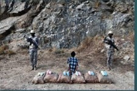 ajel2F2025 11 222F2laj1qr02FD8ADD8B1D8B3 D8A7D984D8ADD8AFD988D8AF 1