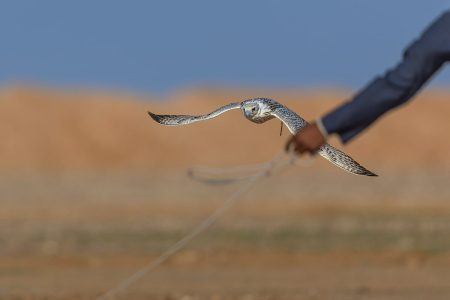 ajel2F2025 11 222Fdo6h6z682FOSM0562