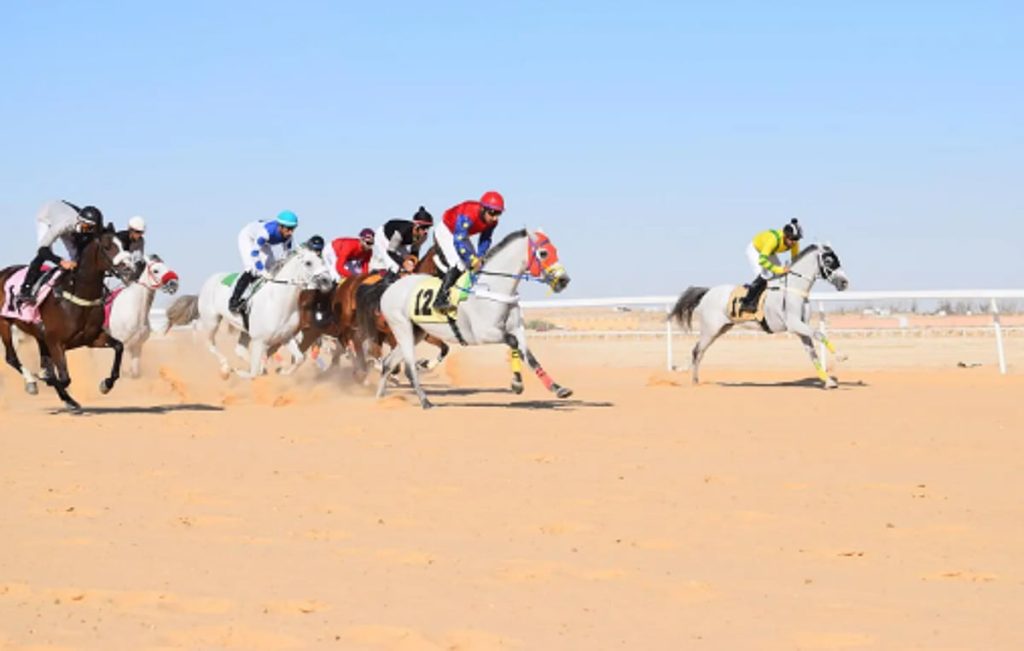 فروسية الأحساء تقيم حفل سباقها الرابع ajel2F2025 11 222Fjtnv8gqj2FCapture