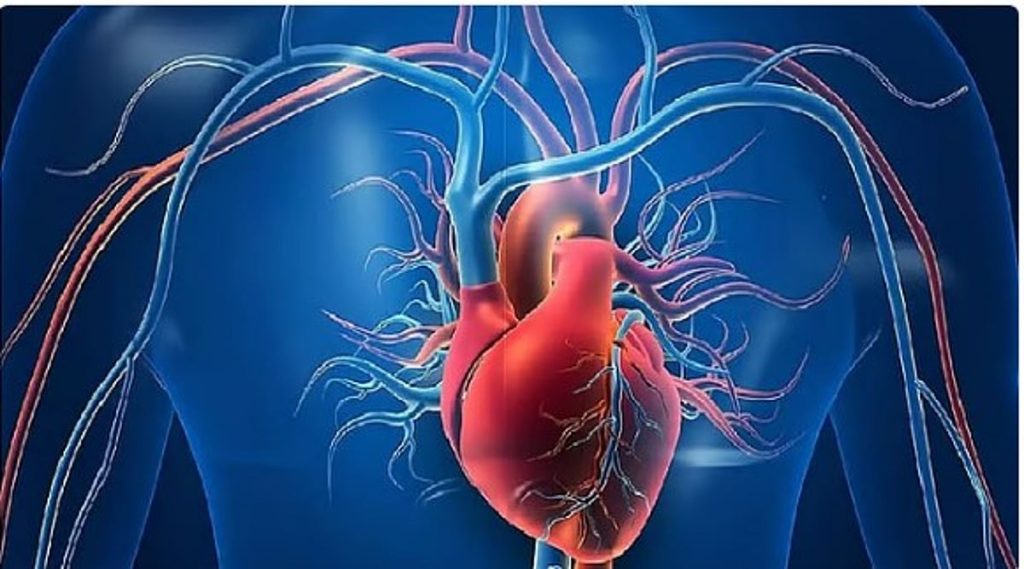 ajel2F2025 11 222Fo5ozzcl92FD8B4D8B1D8A7D98AD98AD986 D8A7D984D982D984D8A8.j