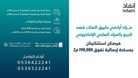 ajel2F2025 11 232Fnvobwoj62F1000534392