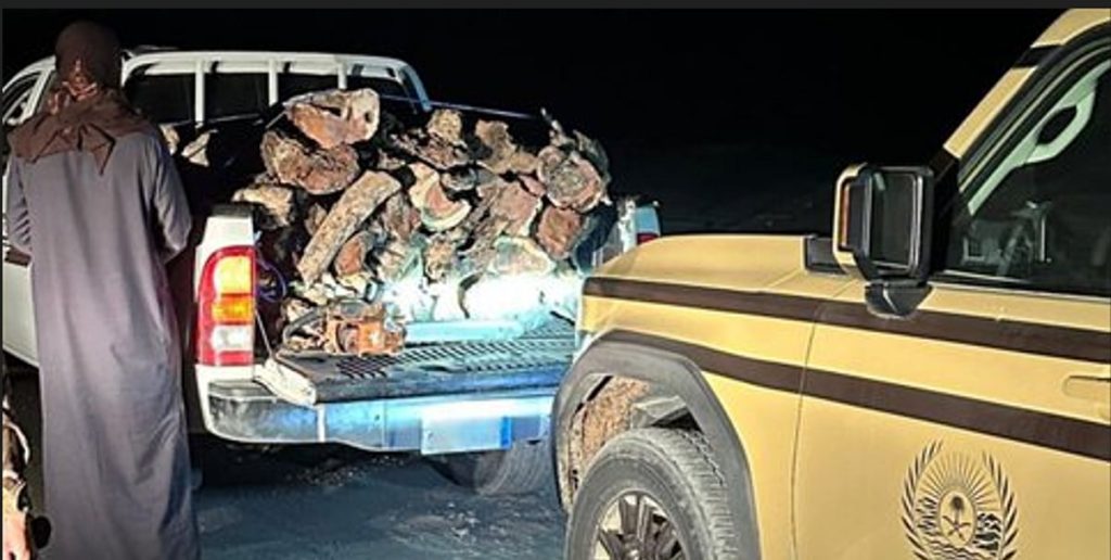 «الأمن البيئي» يضبط مواطنًا لنقله حطبًا محليًا في محمية طويق الطبيعية ajel2F2025 11 242Fof2riwff2FScreenshot 2025 11 24 105637