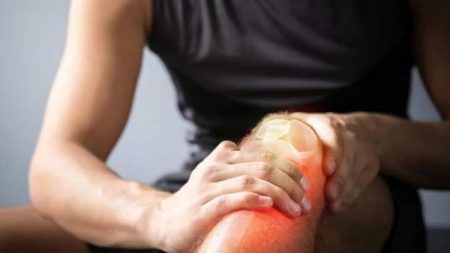 ajel2F2025 11 272Fziyb0xpz2Fajel2022 010589dc0a 2dd2 4818 866c 88579fea72792.avif