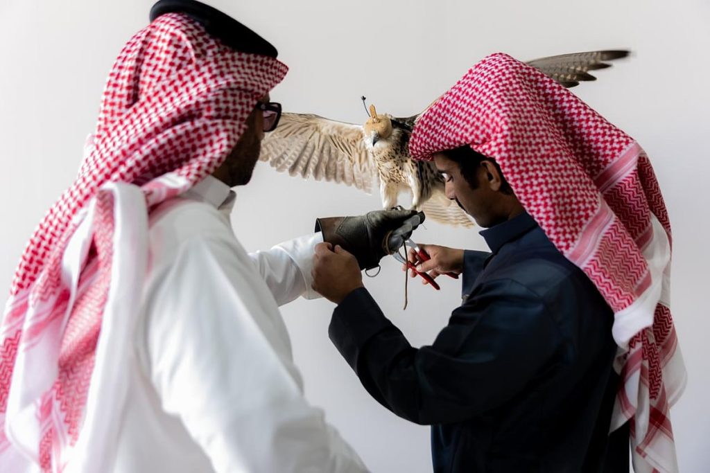 إقبال لافت على توثيق ملكية الصقور في منافسات كأس نادي الصقور 2025 بالخبر ajel2F2025 11 282F3g3880rm2FIMG 20251128 WA0004