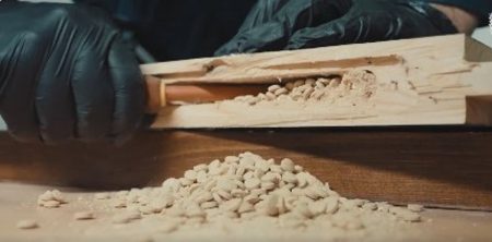 ajel2F2025 11 282Ff3z0rami2FD985D8AED8AFD8B1D8A7D8AA