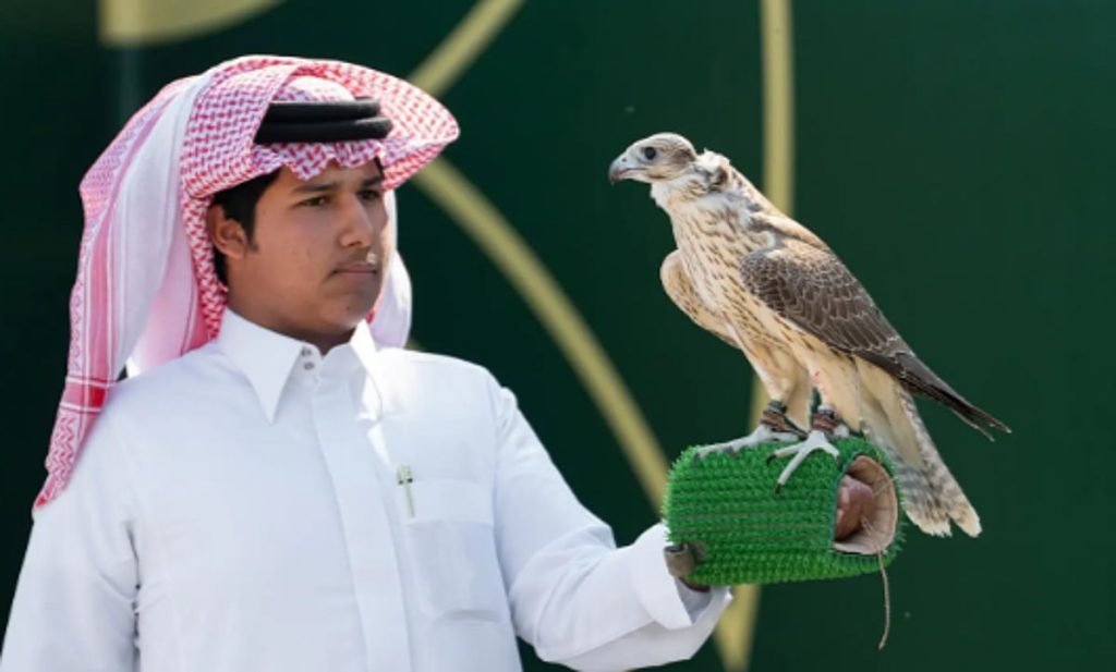 ajel2F2025 11 292Fbl7opvr02FCapture