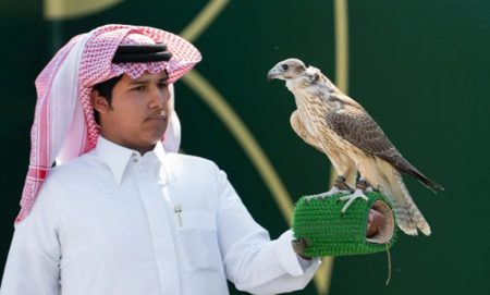 ajel2F2025 11 292Fbl7opvr02FCapture