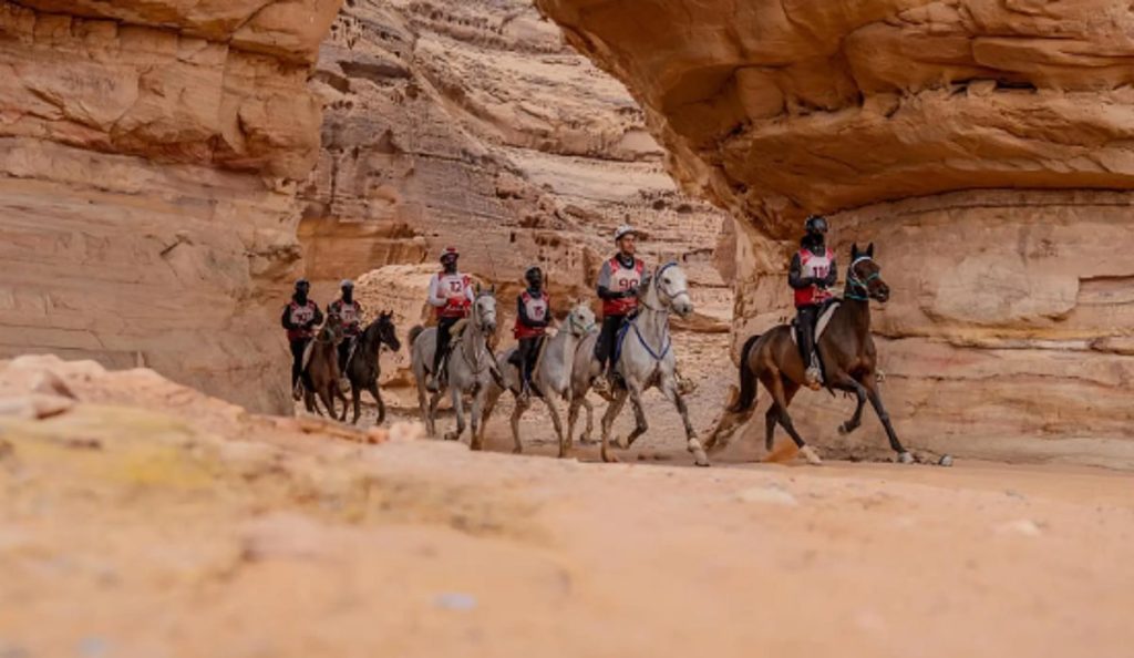 ajel2F2025 11 292Ffmnhpgry2FCapture