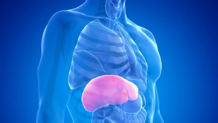 ajel2F2025 11 292Ffokpdo602FD983D8A8D8AF D983D8A8D8AF