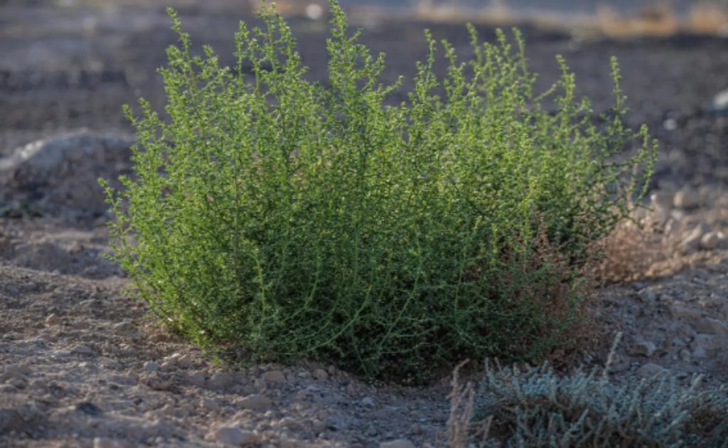 ajel2F2025 11 292Fkuhjz6uq2FCapture