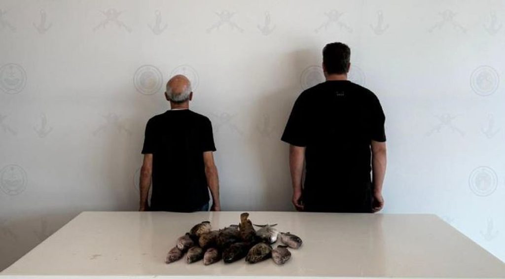 ajel2F2025 11 302Fbf1828kr2FCapture