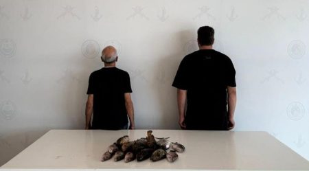 ajel2F2025 11 302Fbf1828kr2FCapture