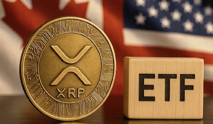 أخبار Altcoin ETF تستمر في الوصول! قد يتم إطلاق XRP وعملة بديلة أخرى قريبًا! إليكم آخر التطورات الإيجابية… f06b1fbc354aaad8d1537545dca0995a9d2161b3
