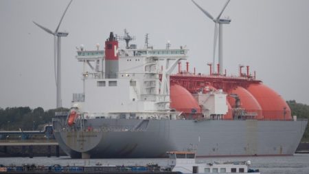 https3A2F2Fd1e00ek4ebabms.cloudfront.net2Fproduction2F95a81687 751c 4bfd 87a2 232ab86fdcc7