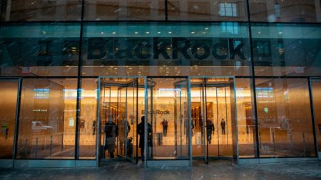 https3A2F2Fd1e00ek4ebabms.cloudfront.net2Fproduction2Fffe8ed77 8217 4768 90c8 5a4ff808cdce