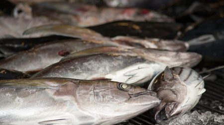 1200x675 cmsv2 17b494c6 ffb2 5deb ab77 95eaa5e79976 9581980