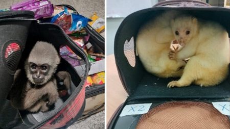 1200x675 cmsv2 cca4c2b0 110e 51dd 9dcd fe6107f26378 9579209