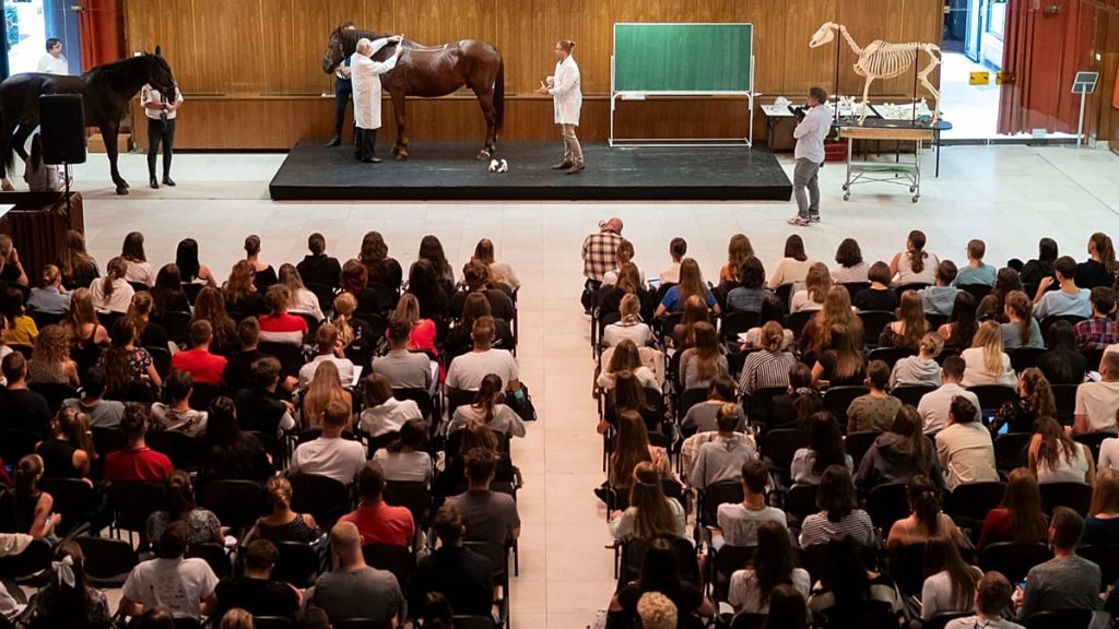 1200x675 cmsv2 d10f3d2f f4c5 520a 9add 1634af259ac0 9586121