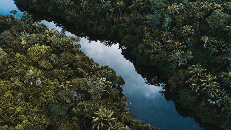 1200x675 cmsv2 f34af2c3 01f3 50ba 827b 3182d2bf5cd1 9579677