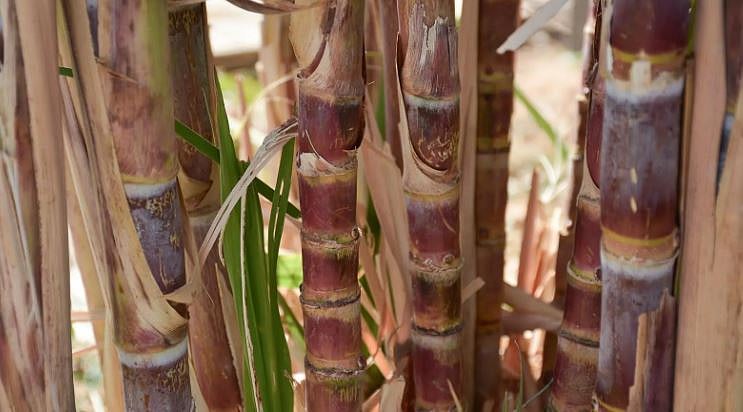 1764946318 963 Capture