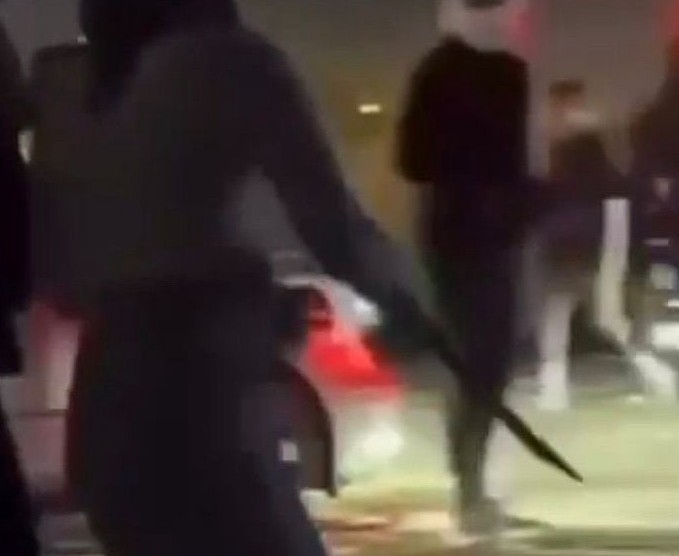 شرطة الفجيرة تضبط «راعية التلوار» وتحيلها للنيابة العامة 1765030324 image