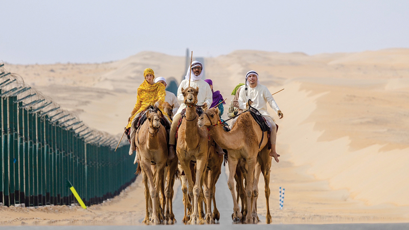 رحلة الهجن على خطى الأجداد في نسخة استثنائية 1765242780 image