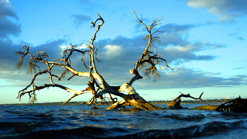 راشد البلوشي.. عدسة تقتنص اللحظات النادرة 1765314059 image