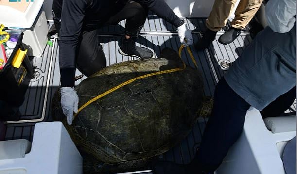 1765365412 181 Capture