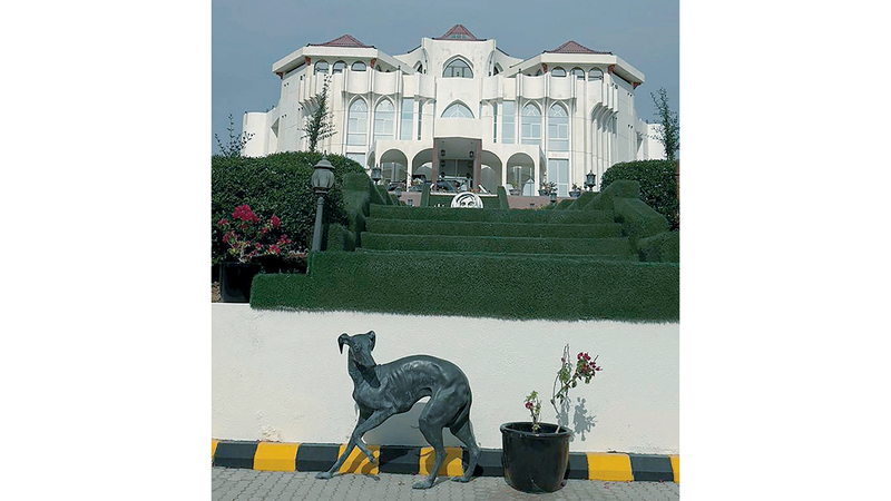 «القصر الغامض» في رأس الخيمة.. من مبنى مهجور إلى متحف 1765837733 image