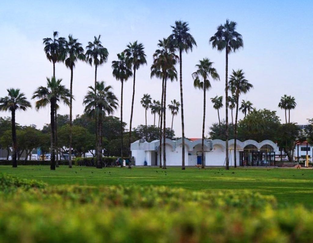 بلدية دبي تعلن إعادة افتتاح الشواطئ والحدائق العامة 1766147953 image