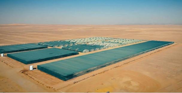 1766938177 169 Capture