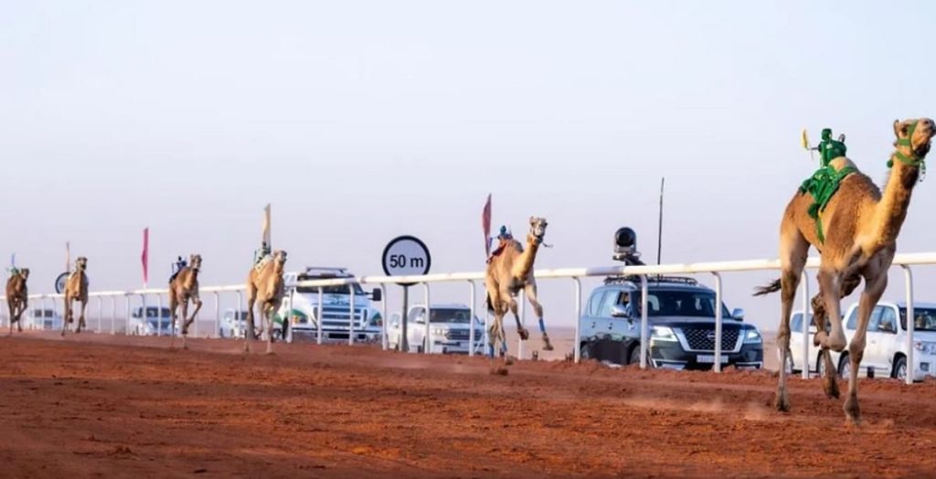 نتائج الأشواط الأولى في جائزة الملك عبدالعزيز لسباقات الهجن 1766965439 ajel2F2025 12 272Fzvnvy6uv2FCapture