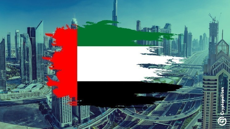 يتدفق عمالقة العملات المشفرة إلى أبو ظبي بحثًا عن استثمارات كبيرة 3de855c5ffa4b13baa32a99e4e8d4a9b287a414f.webp