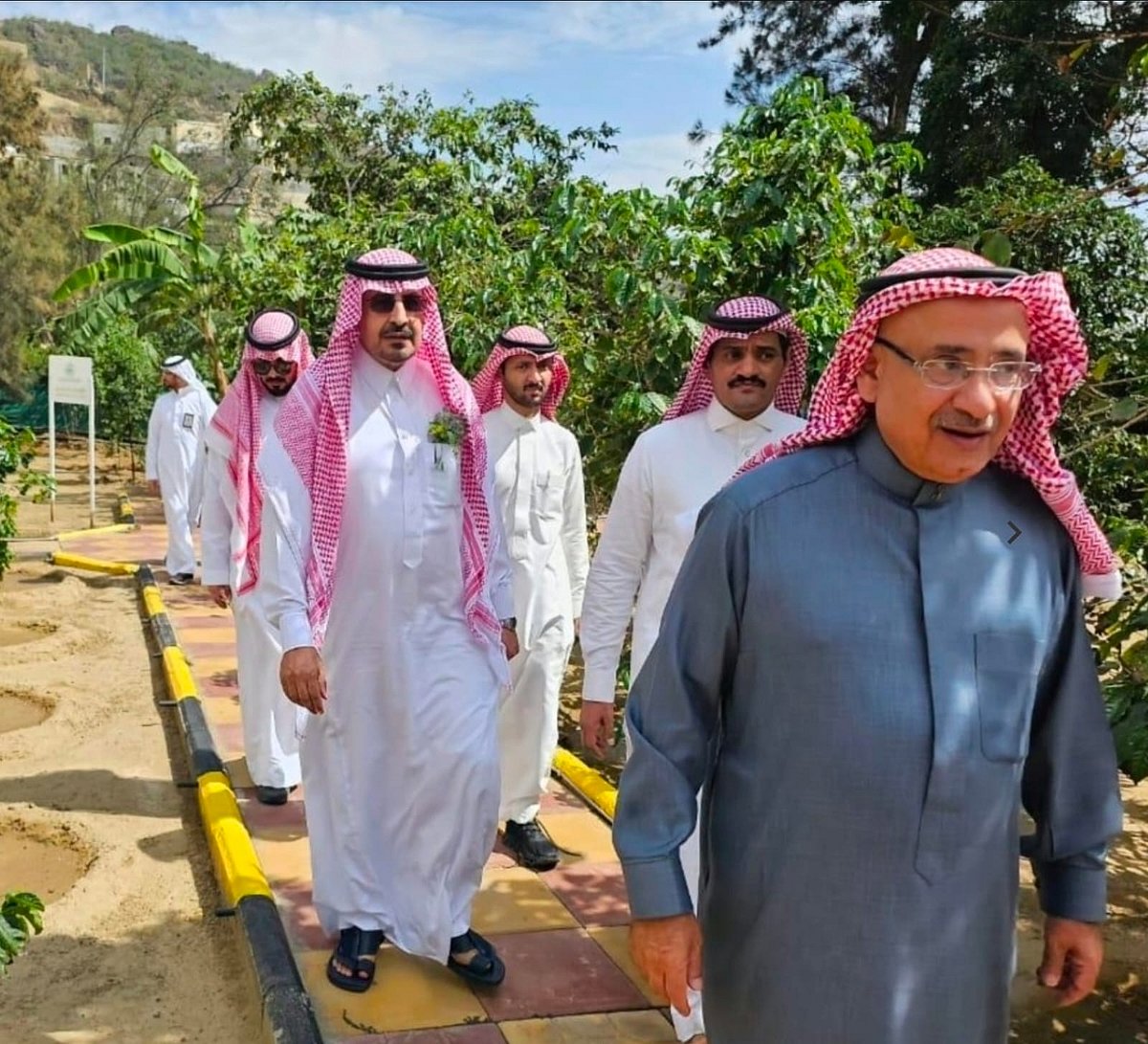 798d6b09 eac3 4ec0 9280 bd16371e66d1