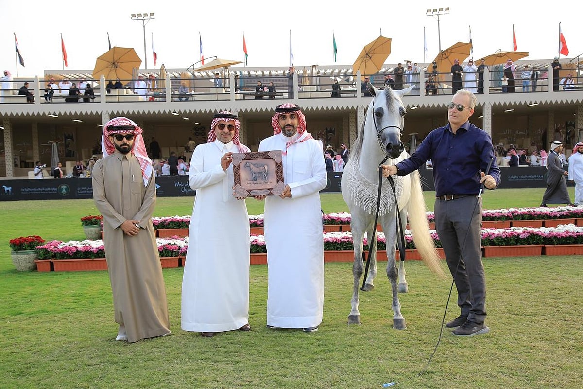 8e938a5c 3df9 460b 93fd 57f48b2ed3e3