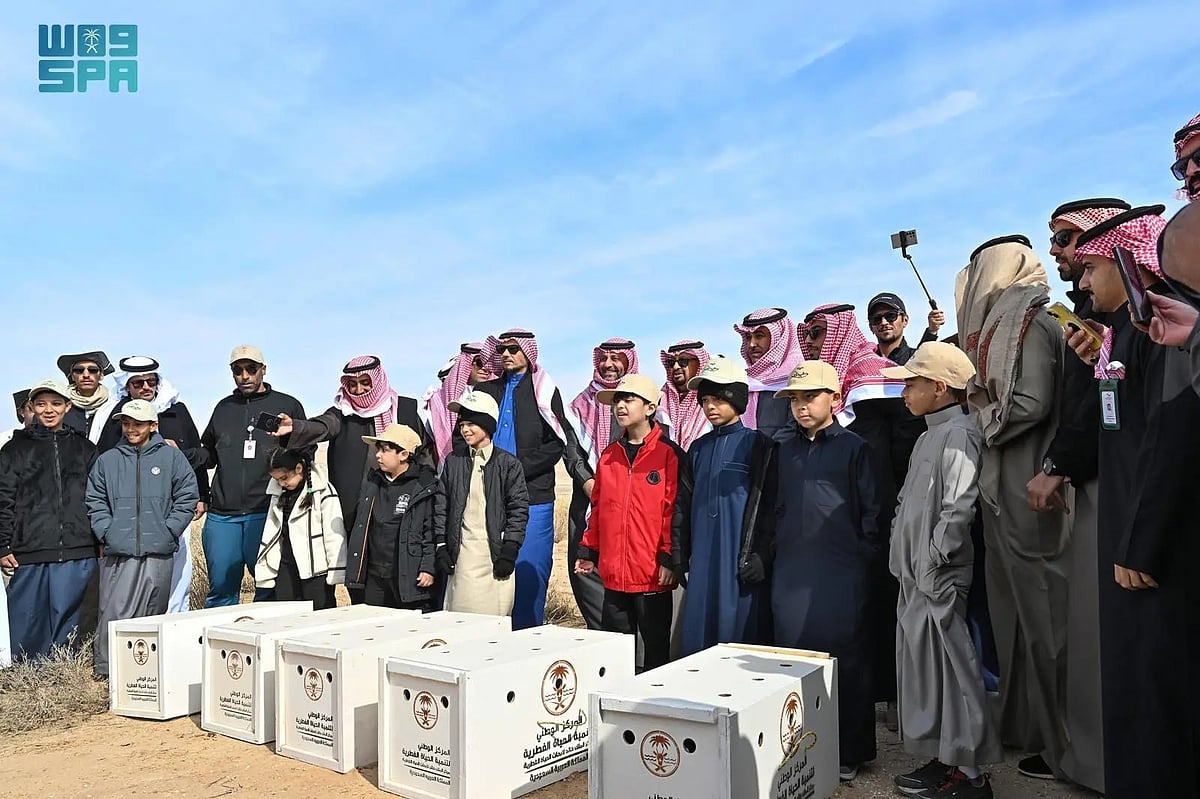 972d144a 8ada 4c96 a9f2 8e58db3f1f24