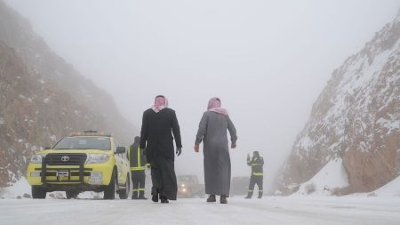 ajel2F2022 012F925cdde8 1e38 4a1a 9da2 f576465e6a572F1