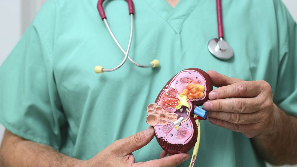 ajel2F2022 022Fb27ae3c4 9299 4c9f 9f87 32f46fac6dab2F1