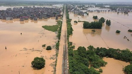 ajel2F2022 082F73979766 2d17 4e79 899d eae78898a47d2F1