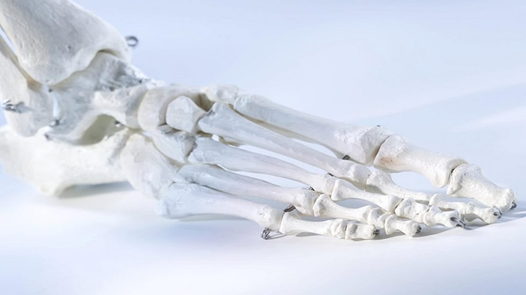 ajel2F2022 102F7dd97ea2 3647 4e91 b74a 08177ed2ea012F1