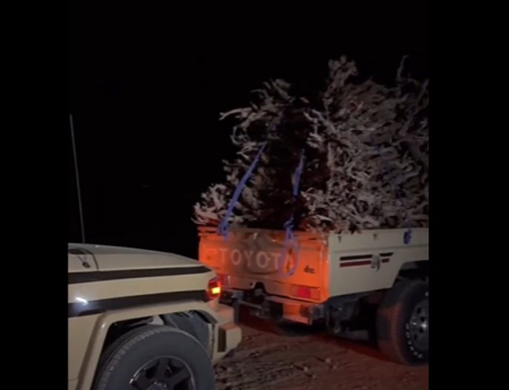 ajel2F2024 11 122Fduphjhhz2FScreenshot 2024 11 12 201111