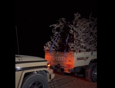 ajel2F2024 11 122Fduphjhhz2FScreenshot 2024 11 12 201111