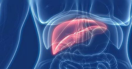 ajel2F2025 11 302F7534b10g2Fajel2023 07da6a533a 1657 4277 9a52 2281b78d8c6011518625.avif