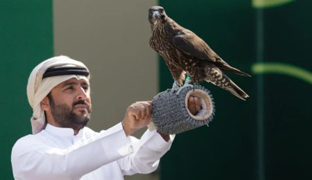 ajel2F2025 11 302Fp7p46cq62FCapture