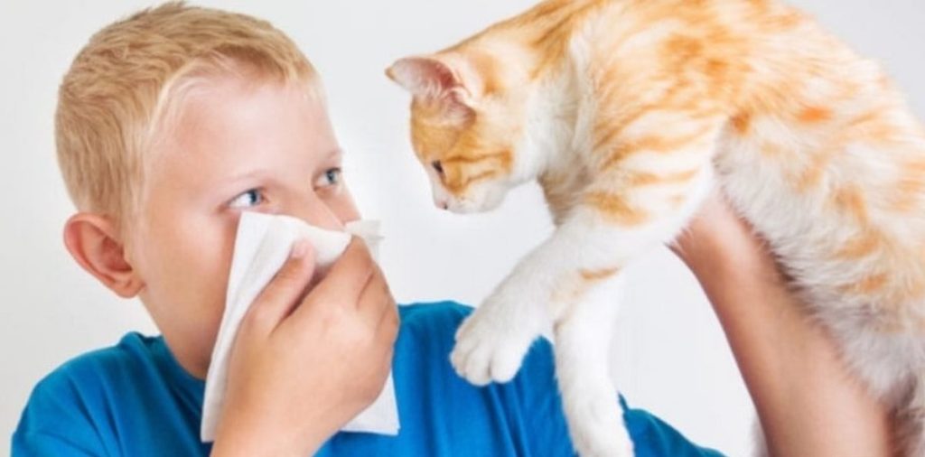 استشاري: التحسّس من الحيوانات رد فعل مناعي غير منضبط ajel2F2025 12 012Fo14v9swe2F223344