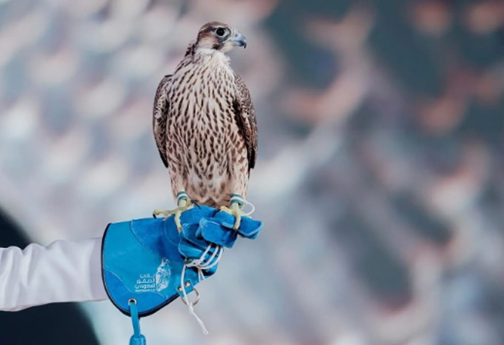 ajel2F2025 12 022Fh5xb2c6o2FCapture